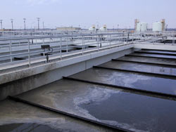 South Bay Wastewater Treatment Plant 